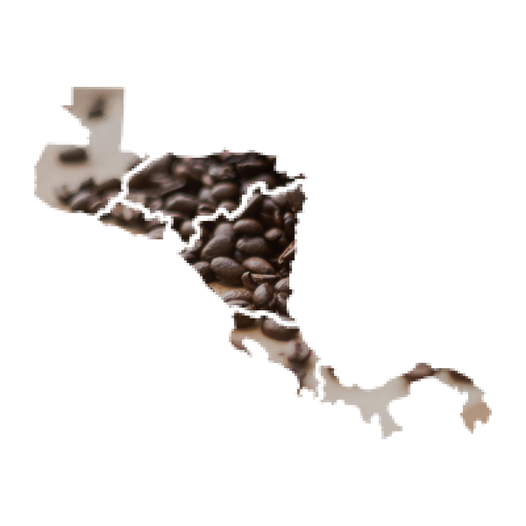 central america Central American coffee beans