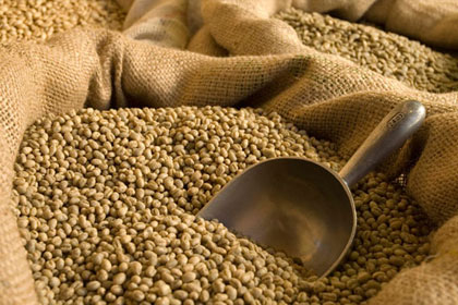 GREEN: Brazil Cerrado (1kg - 5kg)